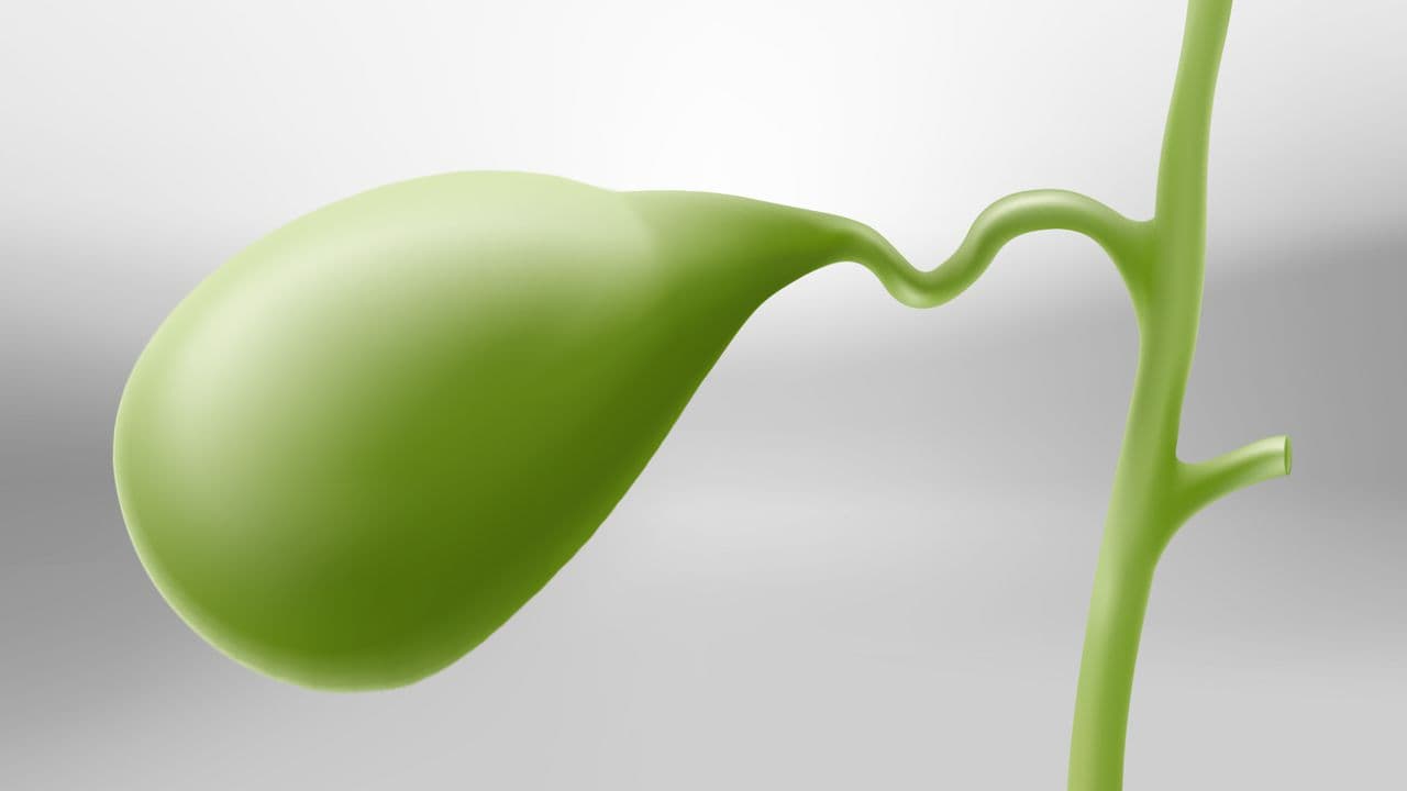 Cover Image for Bộ Đởm