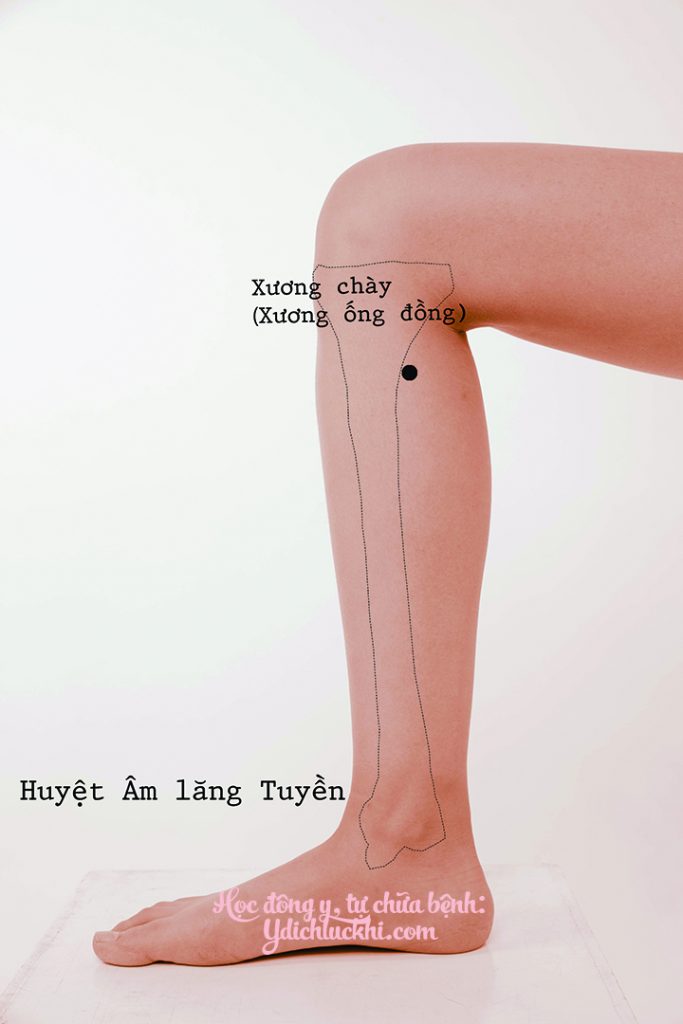 Tỳ- Âm Lăng Tuyền