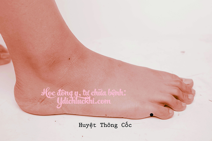 BQ – Thông Cốc